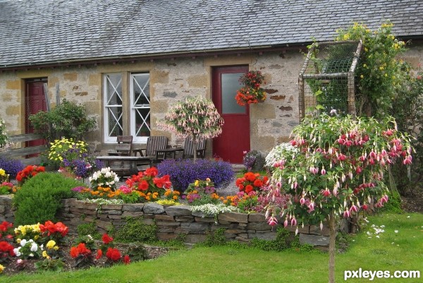 Cottage in the Woods